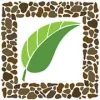 Art of Stone Gardening