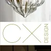 C X Design