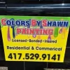 Colors by Shawn Painting