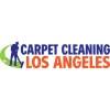 Cheap Carpet Care Service