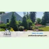 Peak Landscaping & Snow Removal