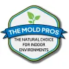 The Mold Pros