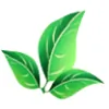 Shades of Green Lawn & Landscaping