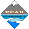 Peak Professional Services