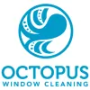 Octopus Window Cleaning