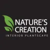 Nature's Creation