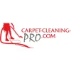 Carpet-Cleaning-Pro