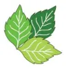 Dooling Landscape Service