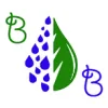 Borelli Brothers Landscaping