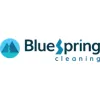 Blue Spring Cleaning