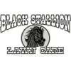 Black Stallion Lawn Care