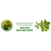 Metairie Carpet Cleaning