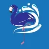 Blue Flamingo Pool Services