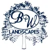 Blue & White Landscapes