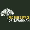 Pro Tree Service of Savannah