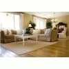 Apollo Cleaning Services