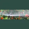 Terra Heights Landscaping