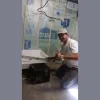 Handy George