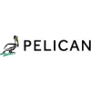 Pelican Wireless Systems