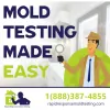 Rapid Response Mold Testing