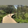 Tailored Trails