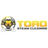 Toro Steam Cleaning