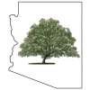 Arizona Tree & Landscape Service