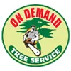 St Pete & Pinellas Tree Service