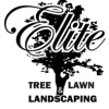 Elite Tree Lawn & Landscaping