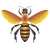 Buzz Landscaping