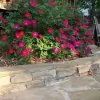 Dirtworks & Bobcat Service