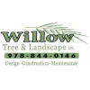 Willow Tree & Landscape