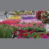 Schultz Garden Center
