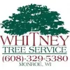 Whitney Tree Service