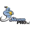 Steam Pro