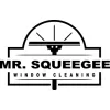 Mr Squeegee Window Cleaning
