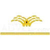 ADV Masonry