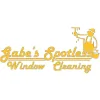 Gabe's Spotless Window Cleaning