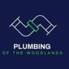 Plumbing Of The Woodlands