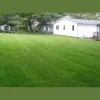 Blue Ribbon Lawn & Landscaping