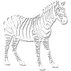 Zebra Remodeling