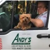 Andy's Heating & Air Conditioning