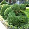 London Landscapes