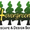 4 Evergreen