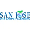 San Jose Dry Carpet Cleaning