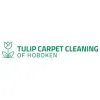 Carpet Cleaning Hoboken
