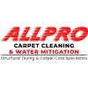 All Pro Restoration & Carpet Carpet Specialist