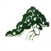 The Green Group Landscaping