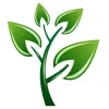 Accent Lawn Care & Landscaping