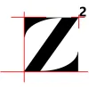 Z Squared Remodeling